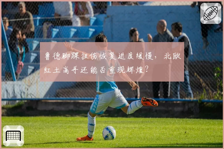鲁德脚踝扭伤恢复进度缓慢,北欧红土高手还能否重现辉煌?