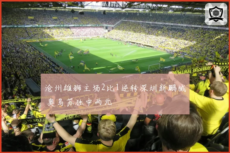 沧州雄狮主场2比1逆转深圳新鹏城 奥乌苏独中两元