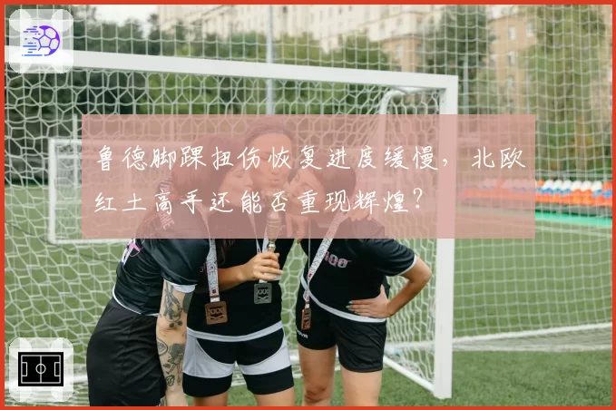 鲁德脚踝扭伤恢复进度缓慢,北欧红土高手还能否重现辉煌?
