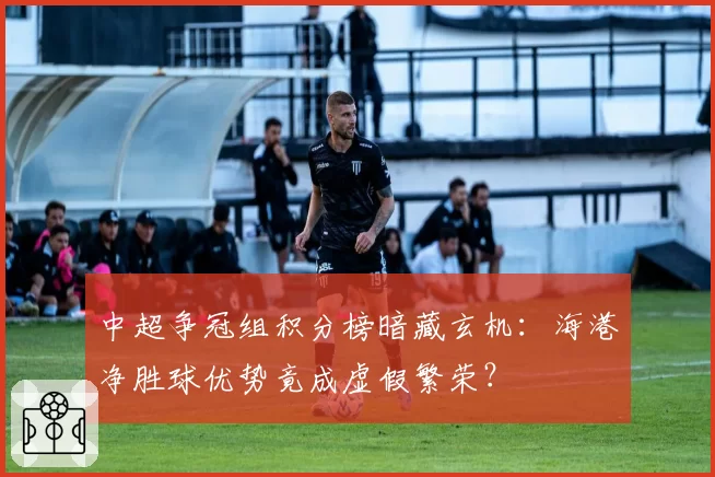 中超争冠组积分榜暗藏玄机:海港净胜球优势竟成虚假繁荣?