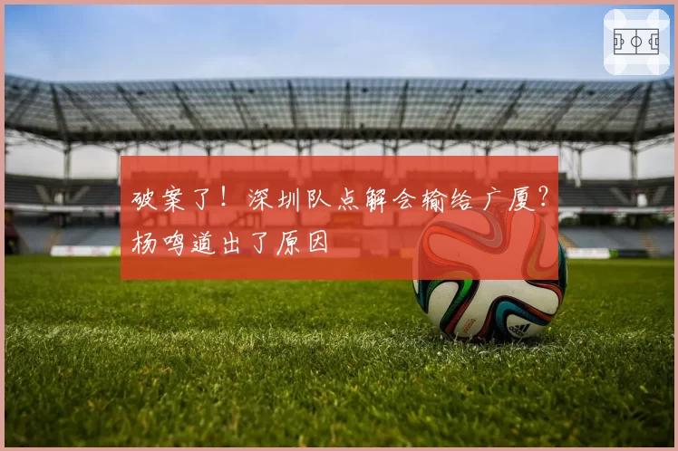 破案了!深圳队点解会输给广厦?杨鸣道出了原因