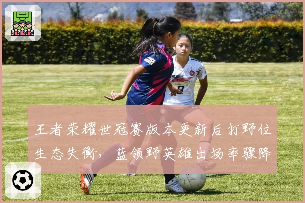 王者荣耀世冠赛版本更新后打野位生态失衡,蓝领野英雄出场率骤降至6%